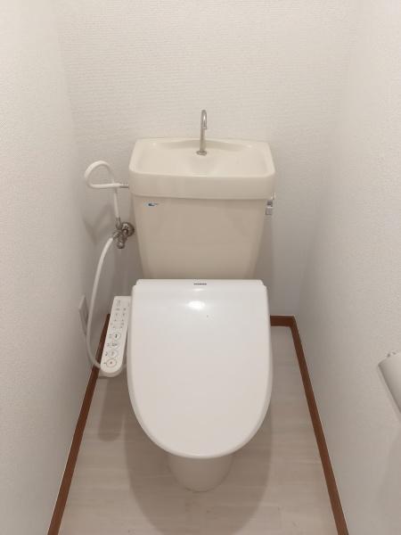 ソラリア大在