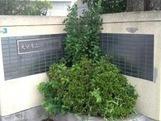 ユーミー葵(大分市立三佐小学校)