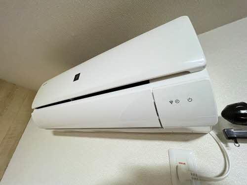 シンセリティ