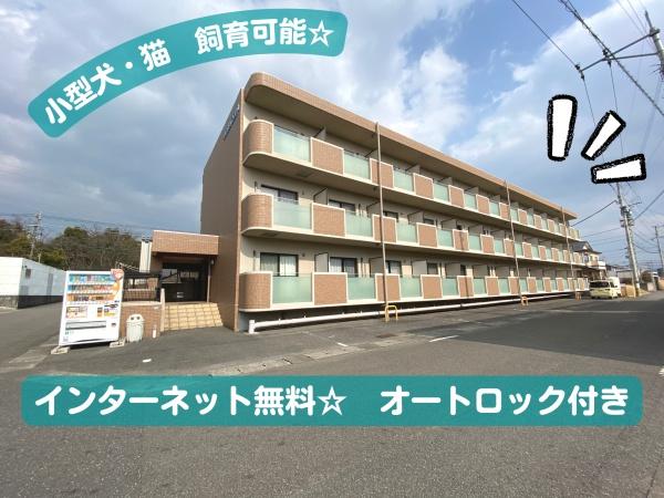 アニマーレ