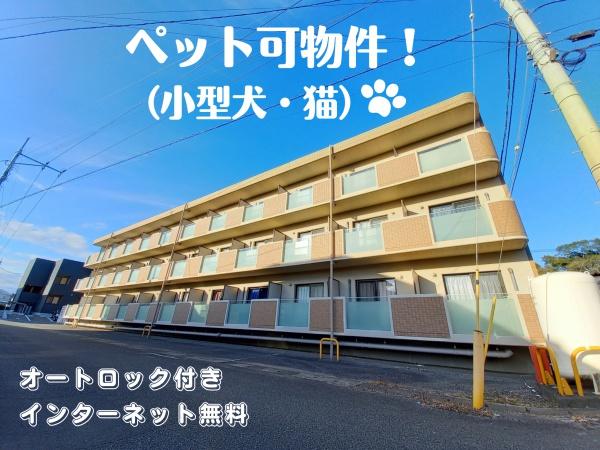 アニマーレ