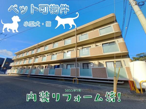 アニマーレ