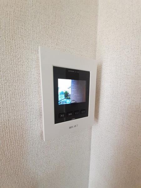 ひまわり
