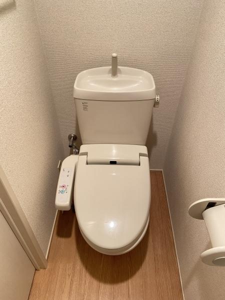 スターリースカイ