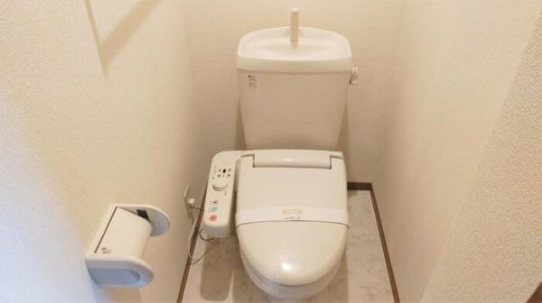 エクセルコート