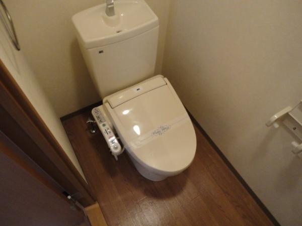 プランドール　ソフィア