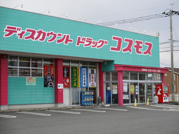 Casa21(ディスカウントドラッグコスモス大在店)