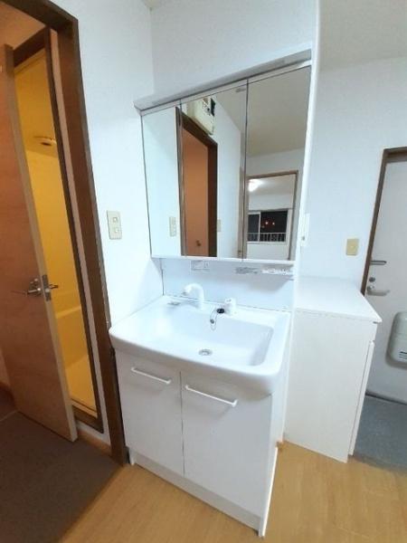シティハイツ藤(洗面台・洗面所)