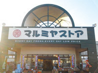 グリーン アース(マルミヤストア鶴崎森店)