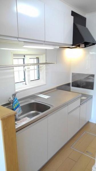 シェーン・ブルーメンＢ