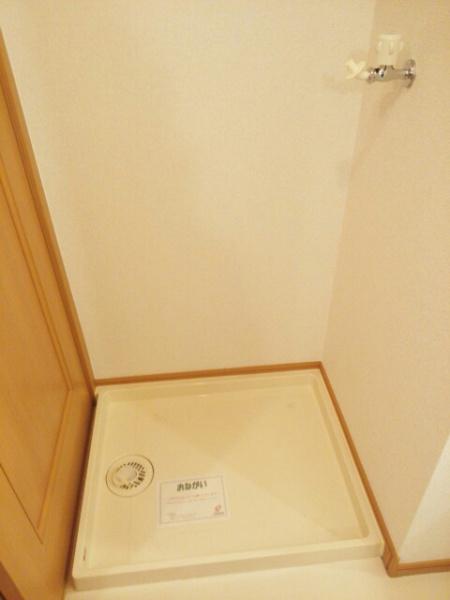 ひまわり