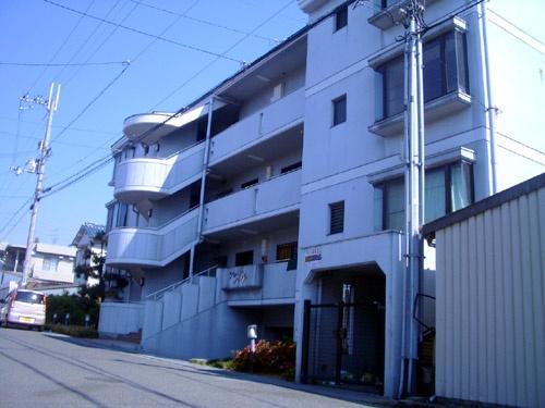 シェーンハイト