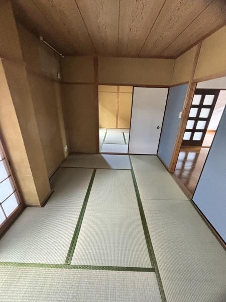 T・Mペガサス