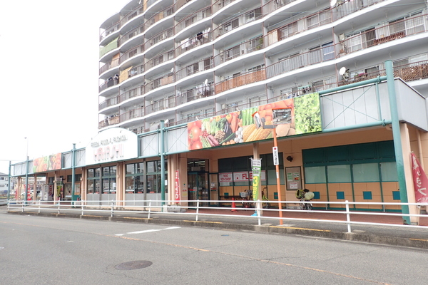 池尻ハイツ(スーパーはやし富木店)