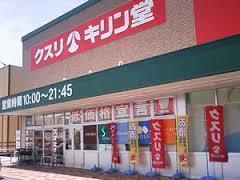 ルミエール・マゴジ1(キリン堂高石加茂店)