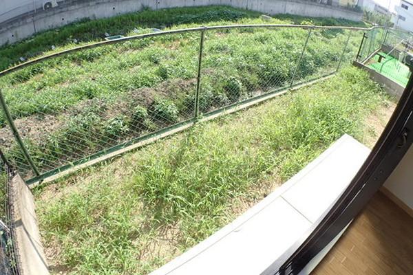 坂の久保ハイツE棟