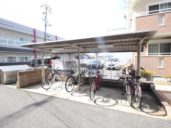 サニーグレイス