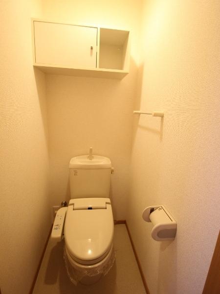 サニーグレイス