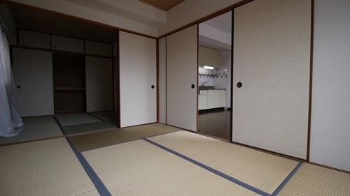 エメロードおおとり