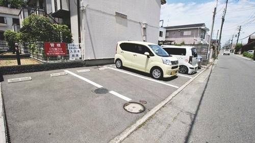 プティセゾン草部