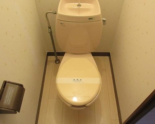 プティセゾン草部