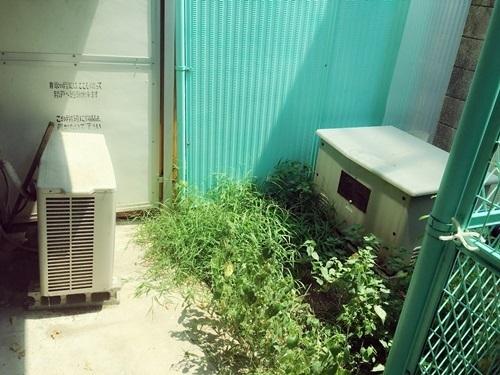 湯川マンション津久野