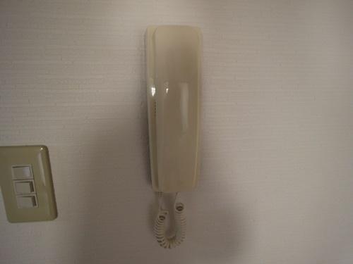 プレセランス