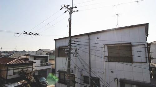 リンガーベル