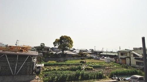 コスモパーク