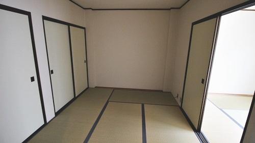 プティセゾン草部