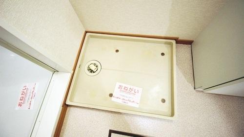 フィールドリヴ