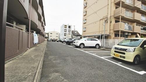 パラディアンフレール