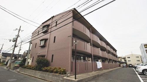 パラディアンフレール