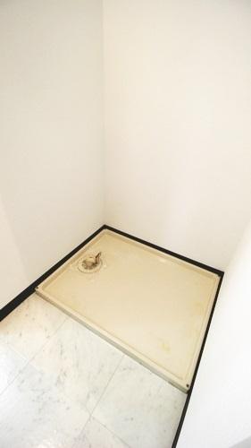 パラディアンフレール