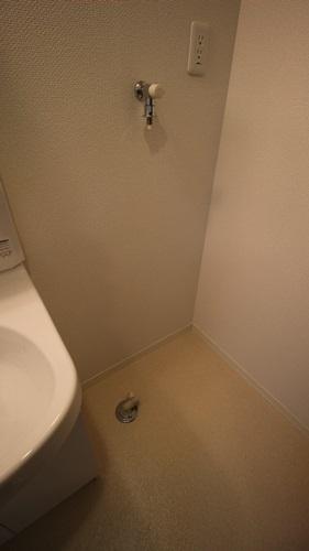 エアフォース大鳥