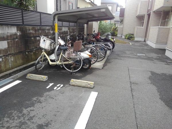 コーラル　リーフ