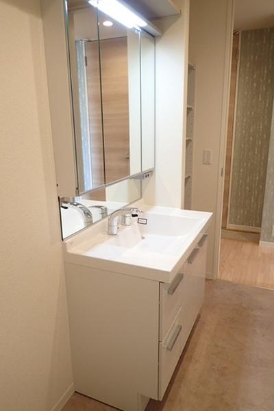ハイツストラッセ2(洗面台・洗面所)
