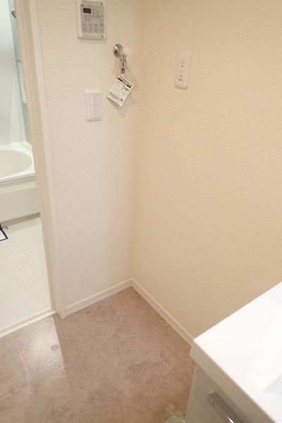 ハイツストラッセ2(洗面台・洗面所)