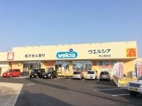 フローラ南館(ウエルシア堺上野芝店)