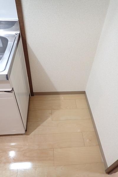 フジパレス野代