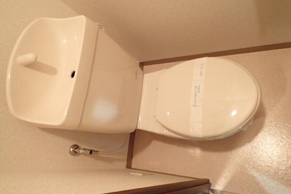 フジパレス野代