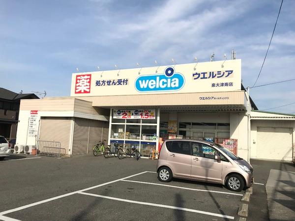 ハイツサンビーム(ウエルシア泉大津助松店)