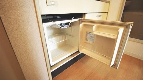 ドミール・イシヅ