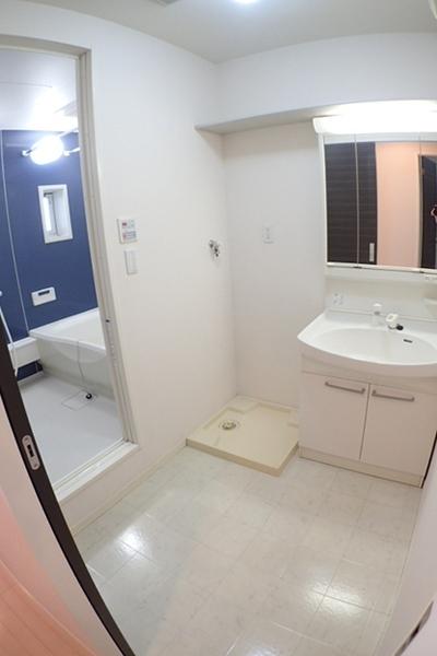 シャーメゾンからたち(洗面台・洗面所)