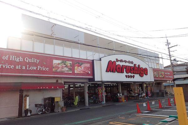 フジパレス鳳中町　3番館(マルシゲ鳳店)