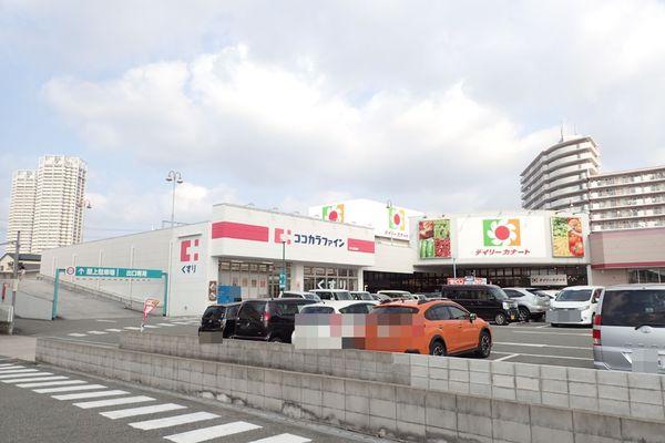 ニューファーム(ココカラファイン泉大津池浦店)