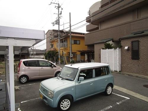 コート・エクラン　光