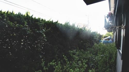 リーナパセオ　C棟