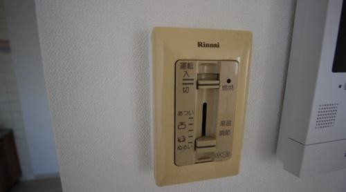 パラディアンフレール