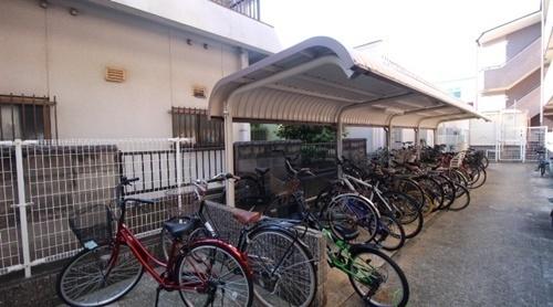 パラディアンフレール